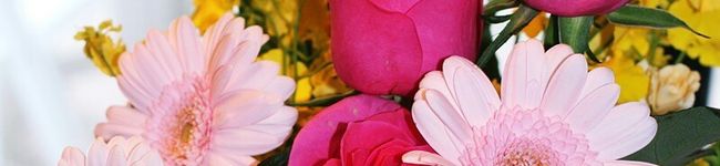 Milwhite's header image