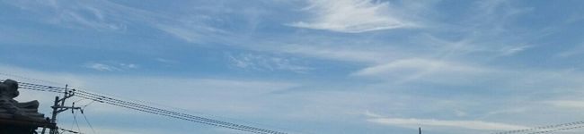 ふなひょん's header image