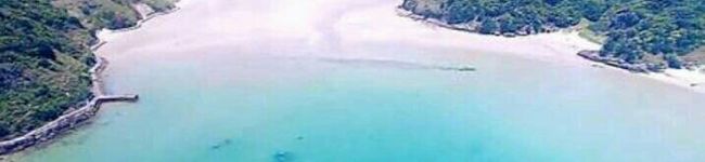 marp_m's header image