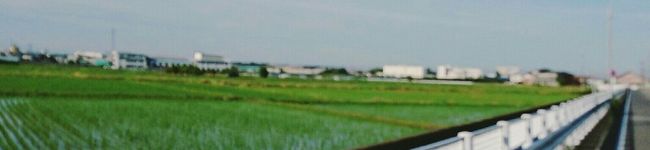 ちびっこらいおん's header image