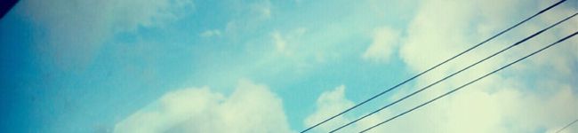 にじんご's header image