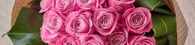 asmone's header image