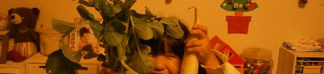 ノンノンcook's header image