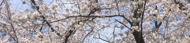 たまhr's header image