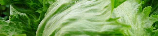 宮崎県綾町's header image