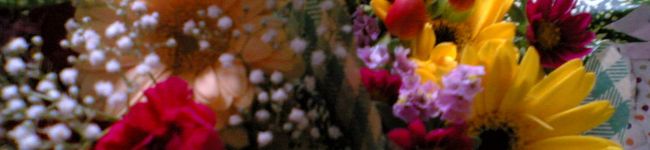 ひろんchan's header image