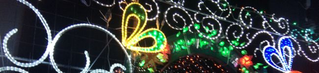 ☆きのご☆'s header image