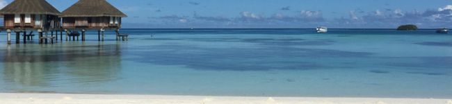 S♡N's header image