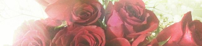 クックX5YY70☆'s header image