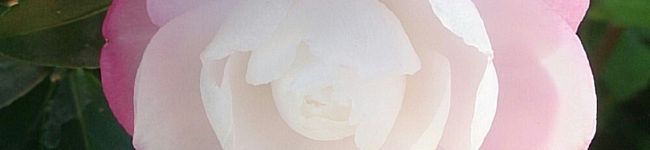 はるゆうママ♡'s header image