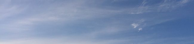 ThuVan's header image