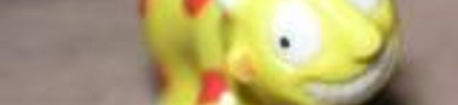TROTRO's header image