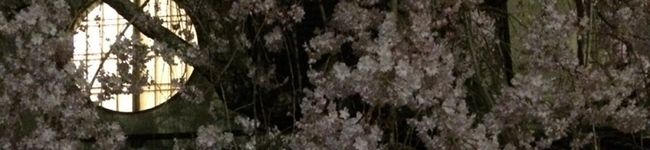ざべり〜にょ's header image