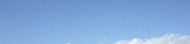 遥キノコ's header image