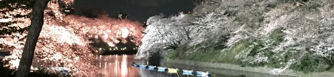 クックいずみ's header image