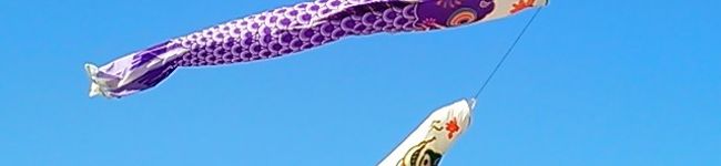クックSV1WS9☆'s header image
