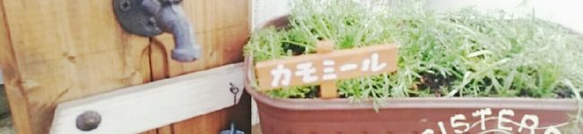 レッドジンガー's header image