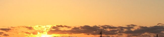 幸せの青いインコ's header image