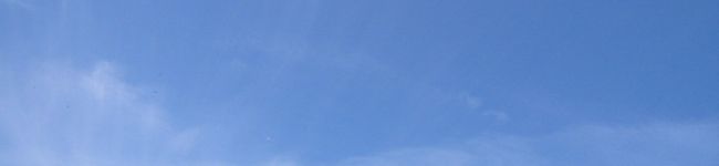 愛華麗菜's header image