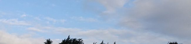 ダウダウです's header image