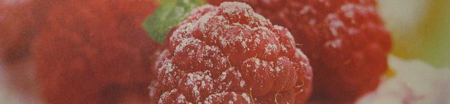 myrtille's header image