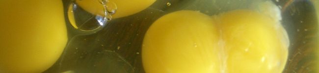 MJLJ's header image