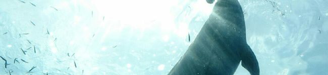 atsuko_mi's header image