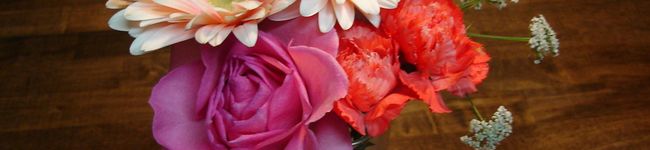 REIAreia's header image