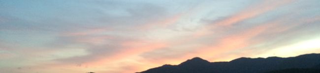 the島人's header image