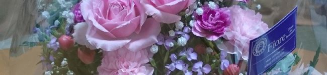 H∧L1001's header image