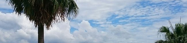 かいりんそらmama's header image