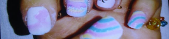 小学生キレ汰ぬこ's header image