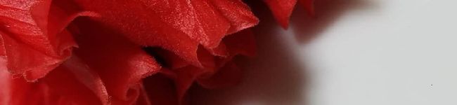 Kuminaria's header image