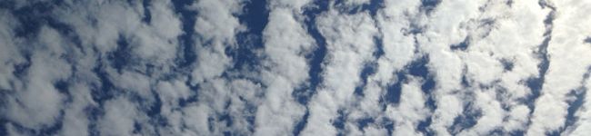 ぐぅ〜たらママさん's header image