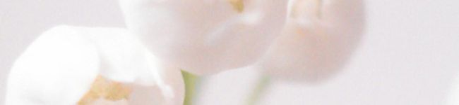 mee831's header image
