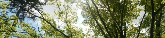 惠津子's header image