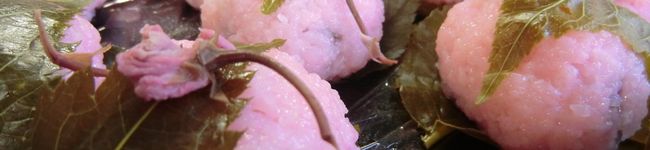 seed＊cafe's header image