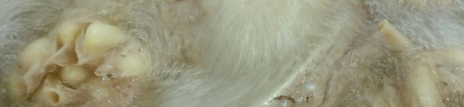 肉骨茶(バクテー)'s header image
