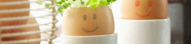 *Yumousemouse*'s header image