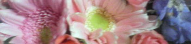へびぽぽ's header image