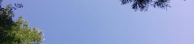 efufu's header image
