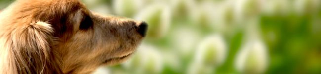 masalin12's header image