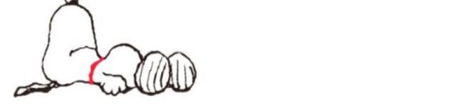 ーみーくー's header image
