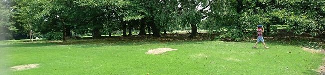 Lemamy's header image
