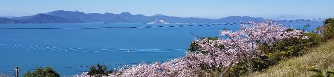 あーちゃんスマイル's header image