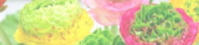 Liviela's header image
