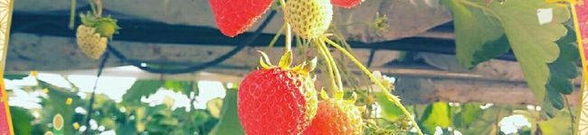 栞菜❤'s header image