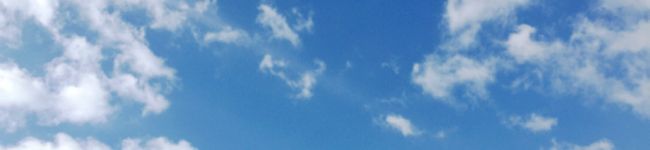 Muu0804's header image