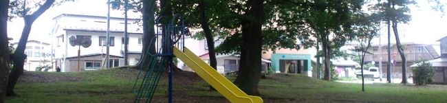 siestaa's header image