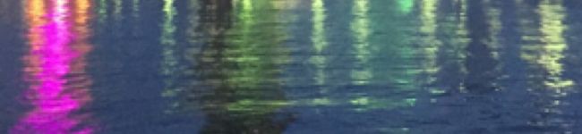 ぶぅ（C）'s header image